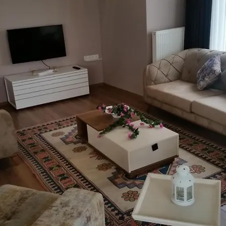 Villa Palace Kirkpinar Sakarya (Marmara)