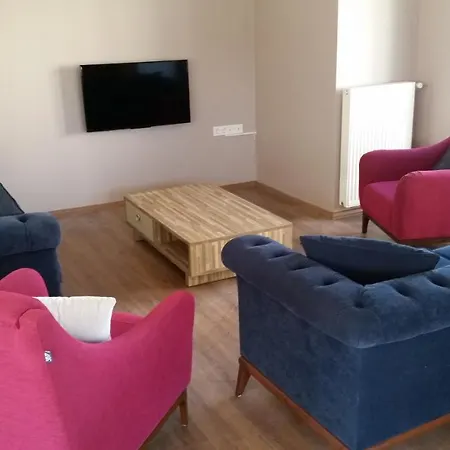 Palace Kirkpinar Villa Sakarya (Marmara)