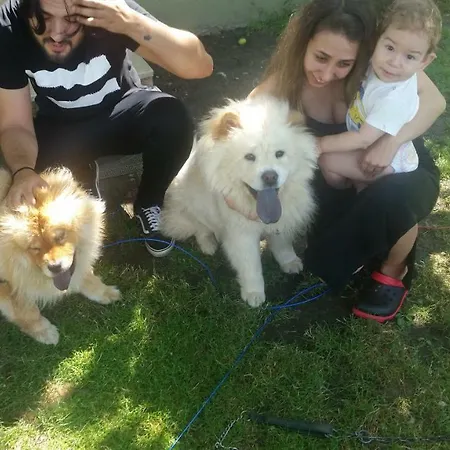 Palace Kirkpinar サカリヤ