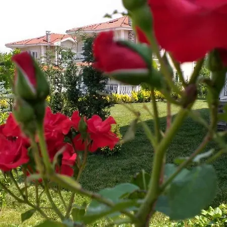 Palace Kirkpinar Villa *