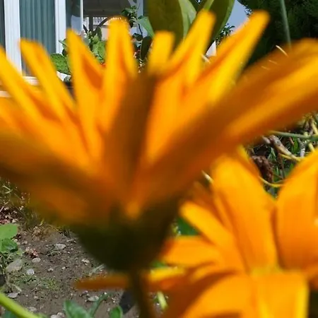 Palace Kirkpinar ヴィラ サカリヤ