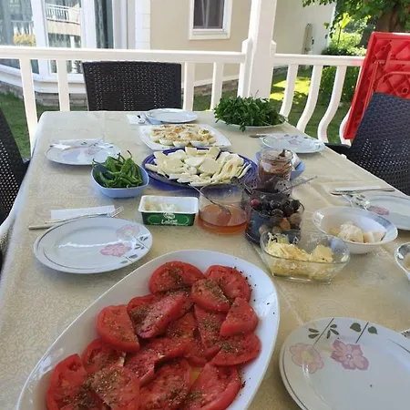 Palace Kirkpinar Villa Sakarya (Marmara)