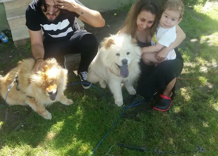 Palace Kirkpinar Sakarya (Marmara)