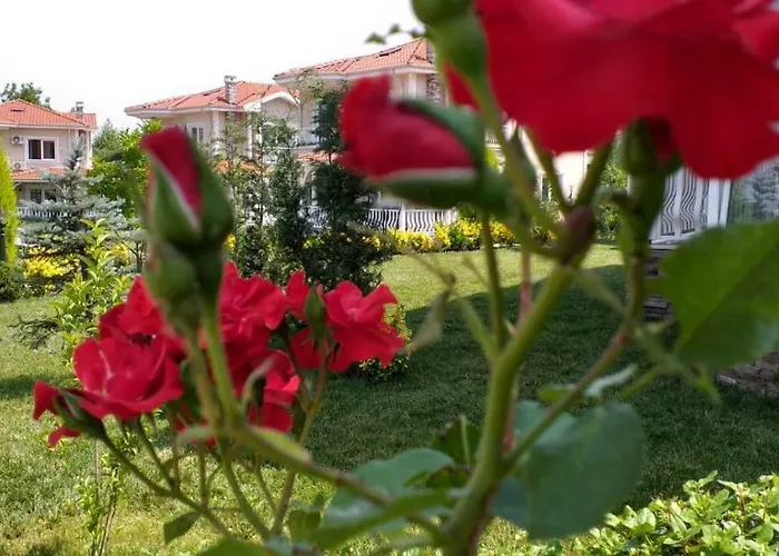 Palace Kirkpinar Vila *