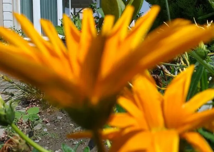 Palace Kirkpinar Villa Sakarya (Marmara)