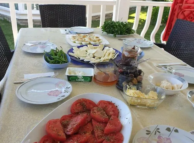 Palace Kirkpinar Vila Sakarya (Marmara)